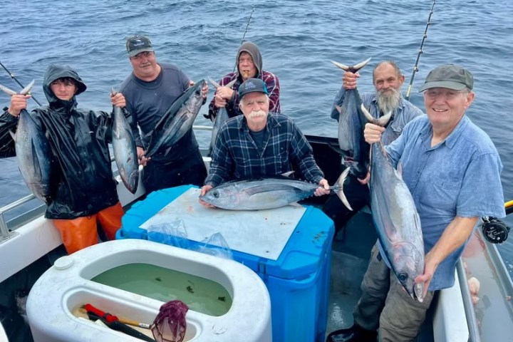 Six people on a boat holding freshly caught fish, smiling at the camera.