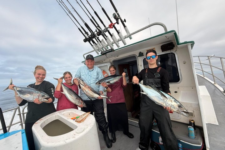 Five people on a boat holding large fish, smiling at the camera.