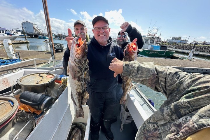 Three men on a boat holding large fish, smiling against a marina backdrop.
