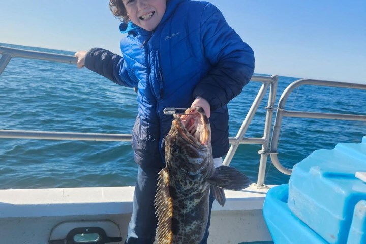 Person in blue jacket holding a large fish on a boat, with ocean in the background.