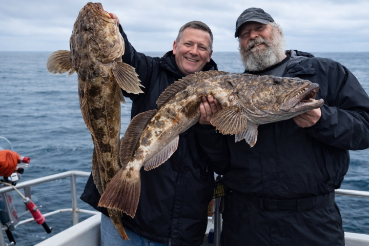 Two men smiling on a boat holding large fish in front of an ocean background.