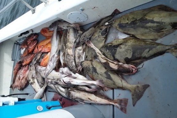 Various fish, including large flatfish, orange and silver ones, lie on a boat deck.